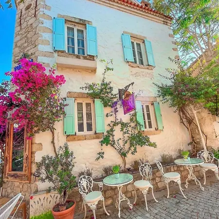 Yukari Sokak Vip Butik Alaçatı