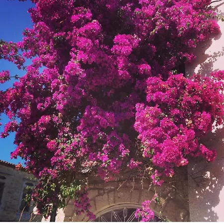 Yukari Sokak Vip Butik *