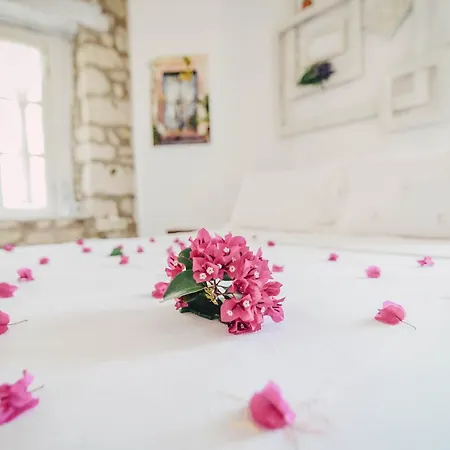 Yukari Sokak Vip Butik Alacati