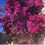 Yukari Sokak Vıp Butık *
