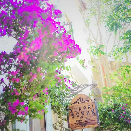 Yukari Sokak Vip Butik מלון