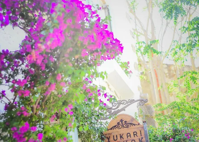 Yukari Sokak Vip Butik Hotel