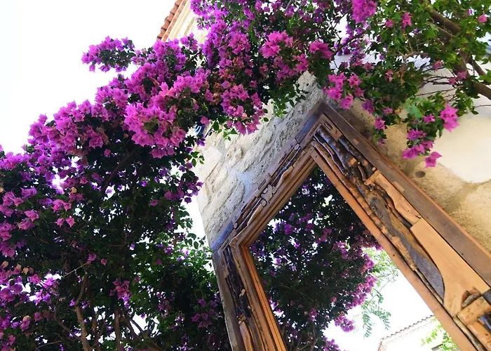 Yukari Sokak Vip Butik Hotel Alaçatı