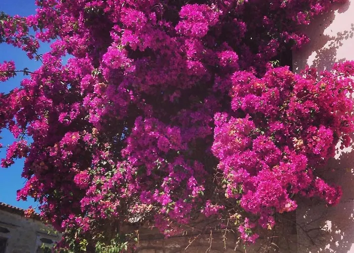 Yukari Sokak Vip Butik *