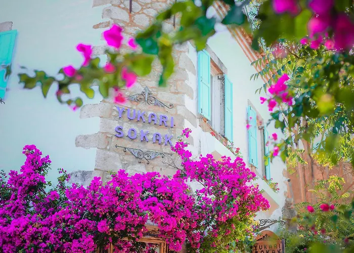 Yukari Sokak Vip Butik Hotel *